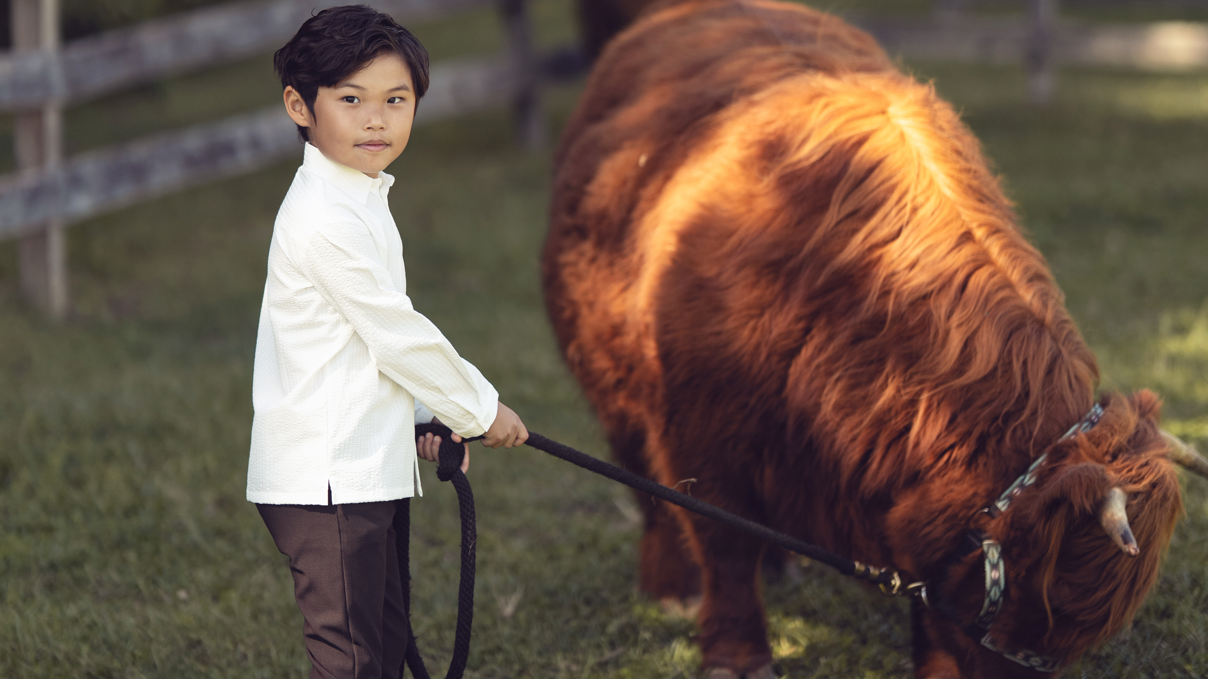 Boy Shirts – KIPP™ Collection