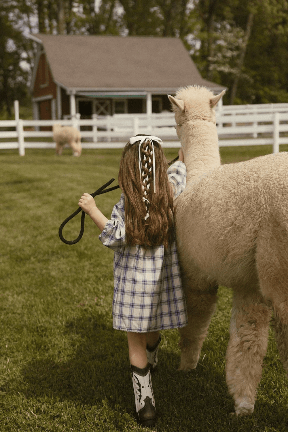 Plaid Dress