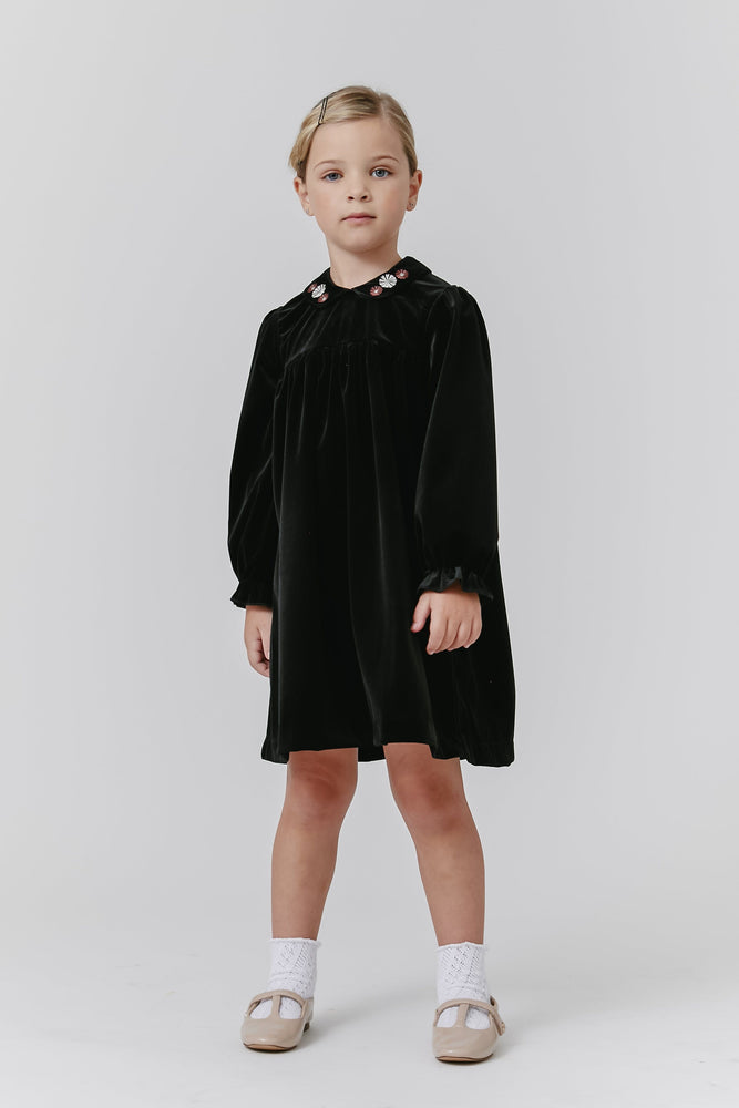 
                  
                    Velvet Embroidered Dress - Black
                  
                