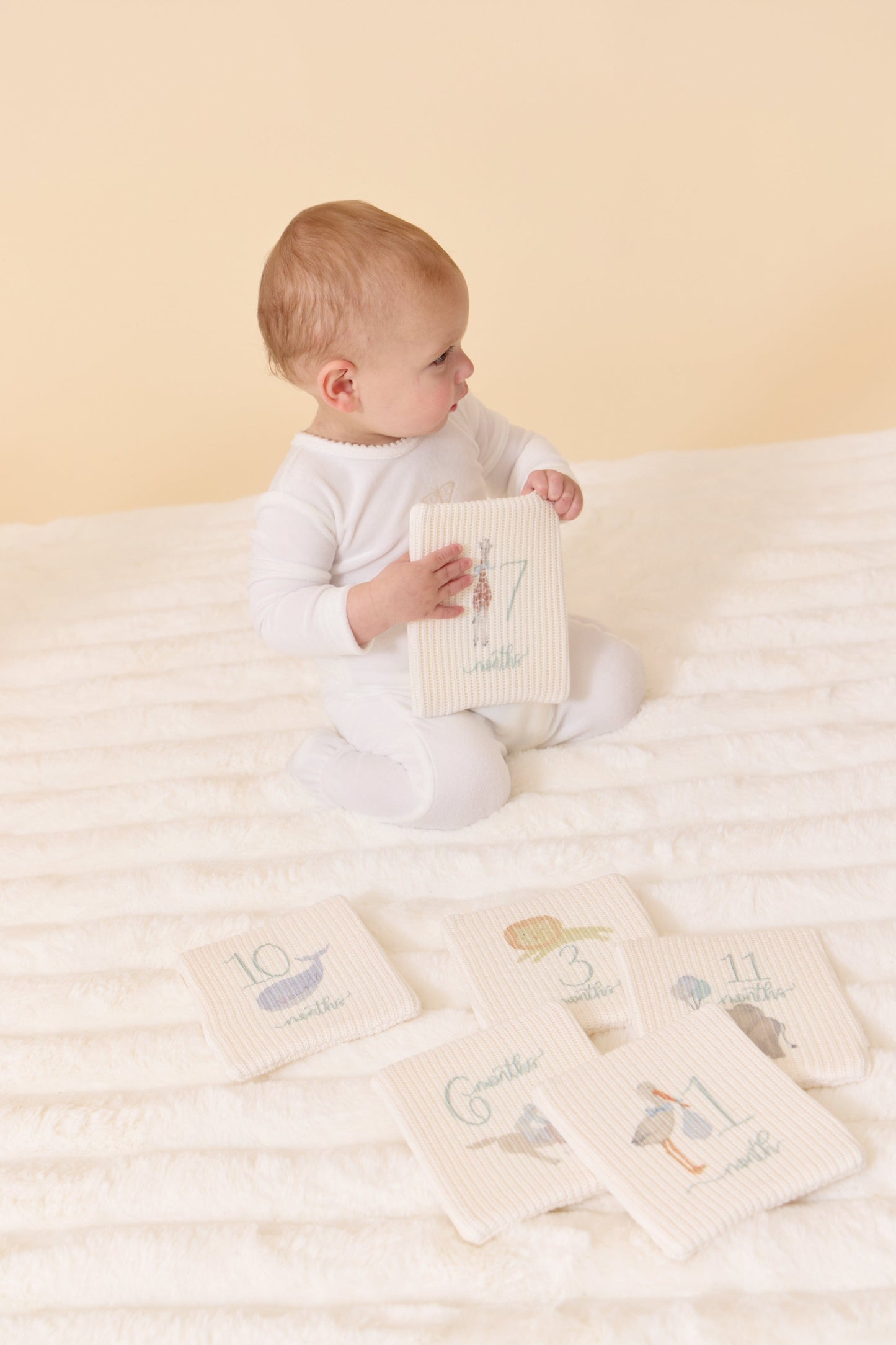 
                  
                    Plush Milestone Toy - Blue
                  
                