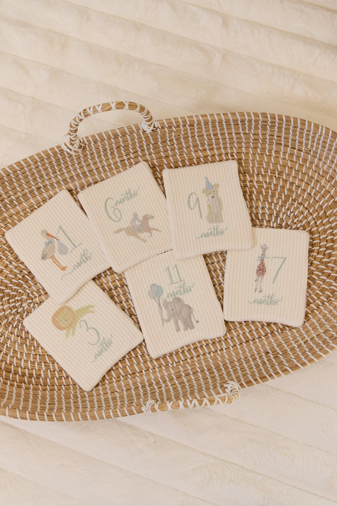 
                  
                    Plush Milestone Toy - Blue
                  
                