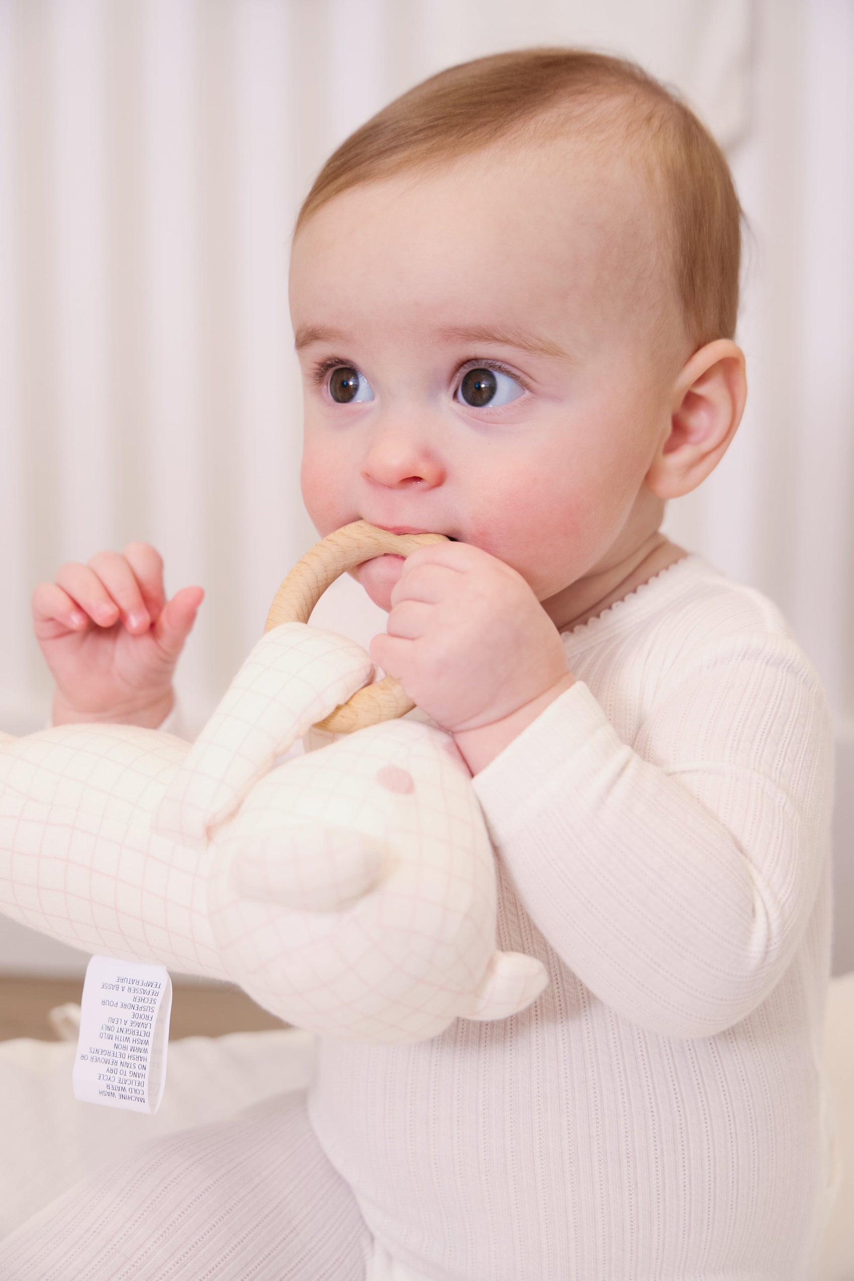 Teddy Au Pane Plush Toy - Pink