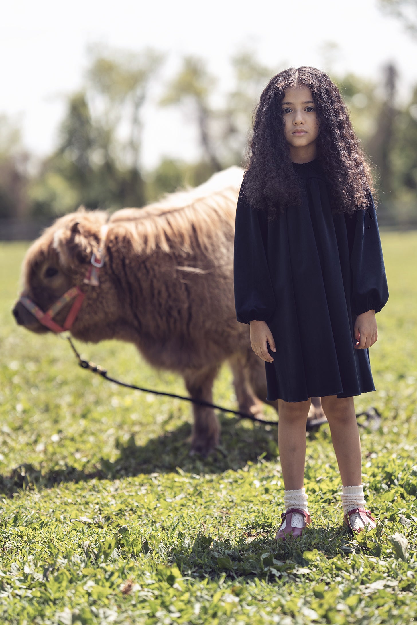 Nola Velvet Dress - Navy
