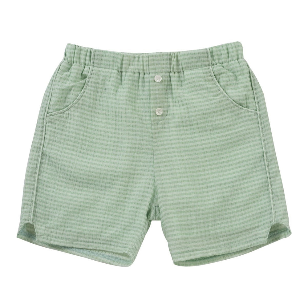 Ethan Shorts - Celery