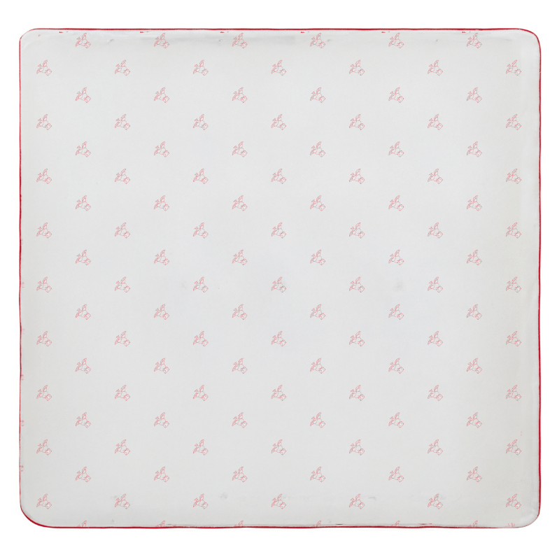 Flying Feathers Pattern Blanket - Red