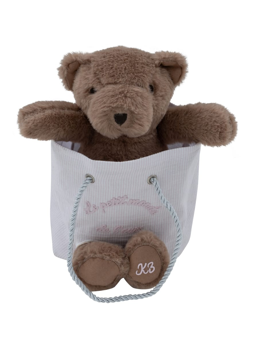 Petit Ours Teddy in a Bag - Pink