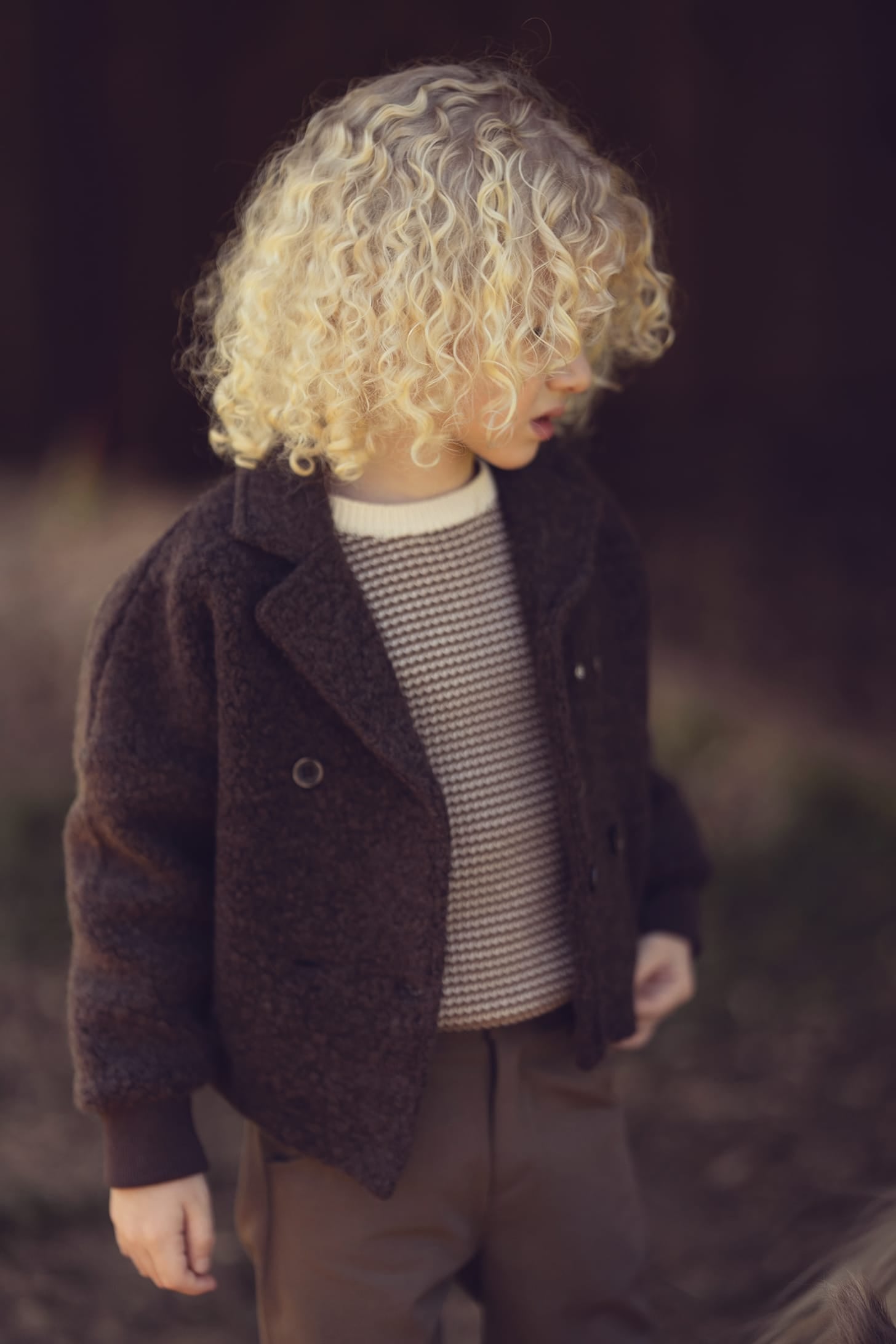 Kenny Textured Sweater - Chestnut – KIPP™ Collection